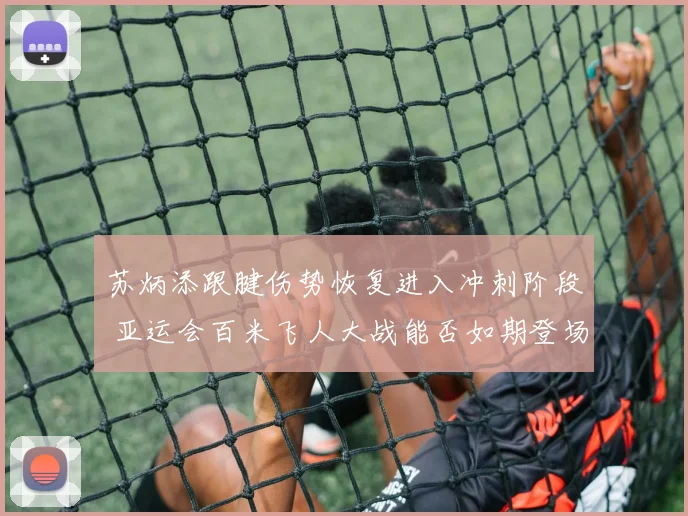 苏炳添跟腱伤势恢复进入冲刺阶段 亚运会百米飞人大战能否如期登场